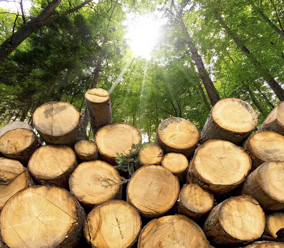 Reliable source of raw material